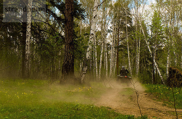 Rückansicht eines Mannes beim Quadfahren auf staubiger Waldschotterstraße  Russland