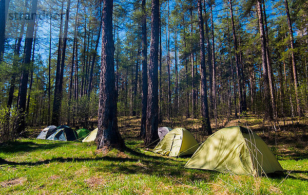Gruppe von Zelten im Wald  Russland