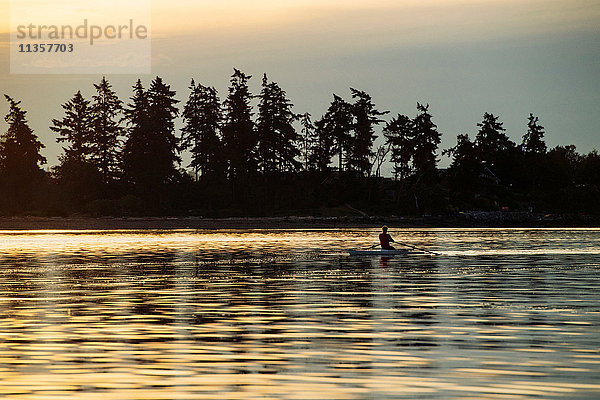 Silhouette eines Mannes  der auf einem einzelnen Schädel im Puget Sound rudert  Winslow  Bainbridge Island  Bundesstaat Washington  USA