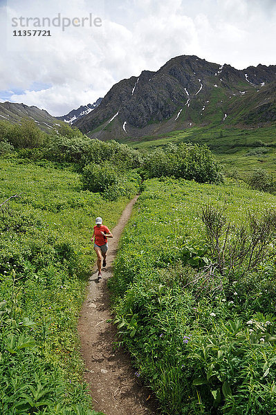 Leiterin des Gold Mint Trail  Talkeetna Mountains in der Nähe des Hatcher Passes  Alaska  USA