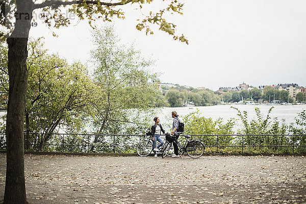 Volle Länge von Freunden mit Fahrrädern an Pflanzen und Fluss im öffentlichen Park gegen klaren Himmel