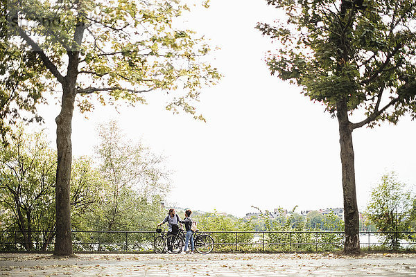 Volle Länge von Freunden mit Fahrrädern  die inmitten von Bäumen im öffentlichen Park gegen den klaren Himmel stehen.