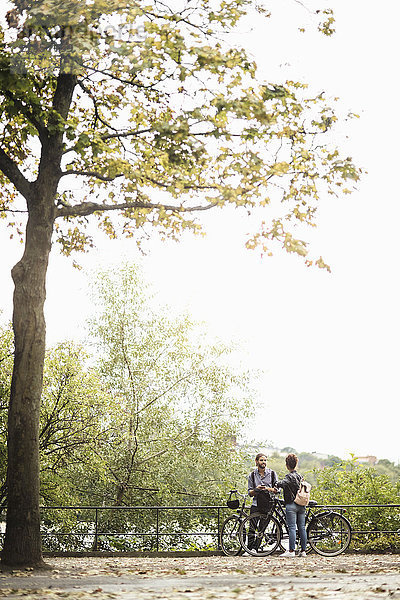 Freunde mit Fahrrädern stehen am Baum im öffentlichen Park gegen den klaren Himmel.