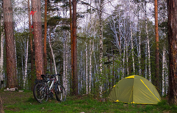Fahrrad und Zelt im Wald