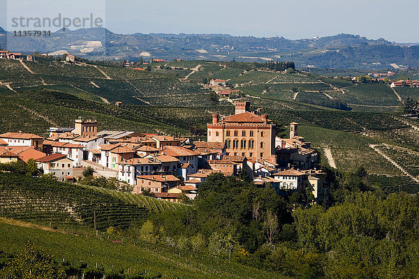 Weinberge  Barolo  Langhe  Piemont  Italien