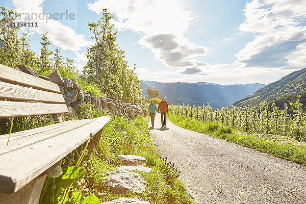 Ausgewachsenes Paar wandert entlang der Landstraße  Meran  Südtirol  Italien