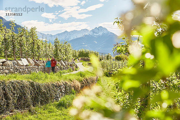 Ausgewachsenes Paar wandert entlang der Landstraße  Meran  Südtirol  Italien