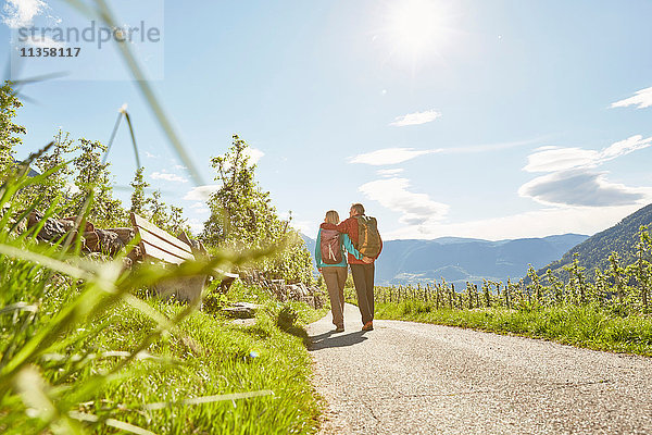 Älteres Paar wandert entlang der Landstraße  Rückansicht  Meran  Südtirol  Italien