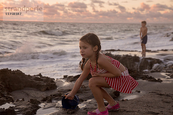 Mädchen füllt Spielzeugkübel am Strand bei Sonnenaufgang  Blowing Rocks Preserve  Jupiter Island  Florida  USA