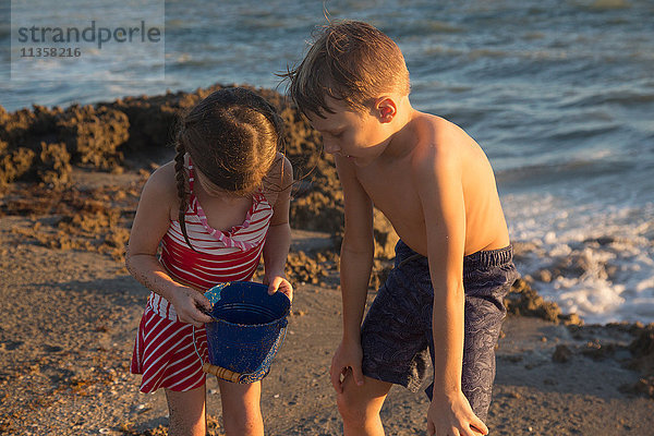 Mädchen und Bruder schauen am Strand in einen Spielzeugeimer  Blowing Rocks Preserve  Jupiter Island  Florida  USA