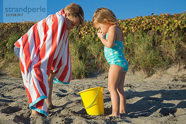 In ein Handtuch gewickelter Junge schaut auf Spielzeugeimer mit Schwester am Strand  Blowing Rocks Preserve  Jupiter Island  Florida  USA