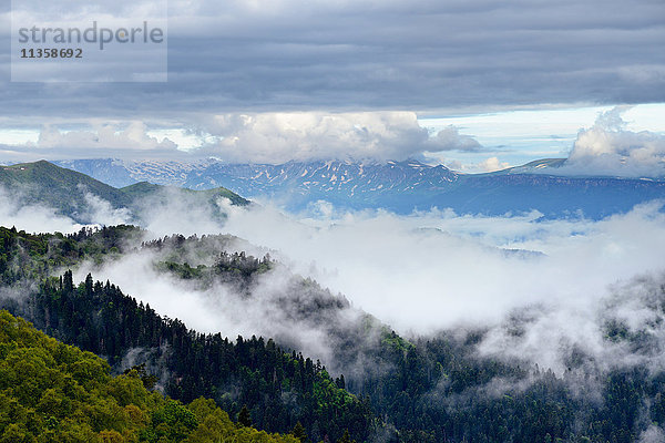 Talnebel  Naturpark Bolshoy Thach (Big Thach)  Kaukasische Berge  Republik Adygien  Russland