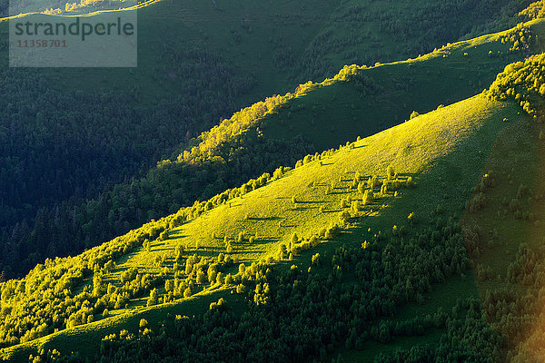 Detail Grünes Tal  Naturpark Bolshoy Thach (Big Thach)  Kaukasische Berge  Republik Adygien  Russland