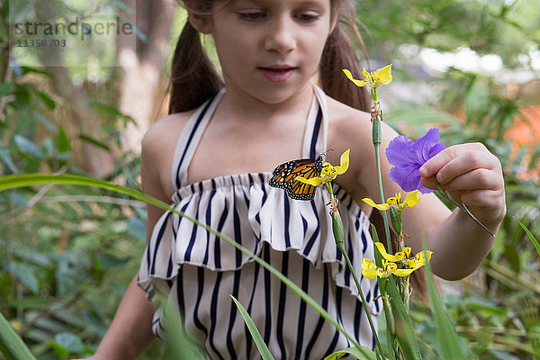 Mädchen betrachtet Monarchfalter auf Blume
