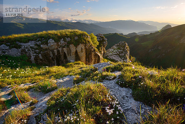 Landschaft mit Wildblumen und Felsen  Naturpark Bolshoy Thach (Big Thach)  Kaukasisches Gebirge  Republik Adygien  Russland