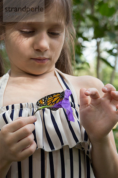 Mädchen hält Monarchfalter auf Blume