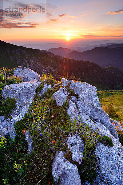 Felsen und Wildblumen bei Sonnenuntergang  Naturpark Bolshoy Thach (Big Thach)  Kaukasische Berge  Republik Adygien  Russland
