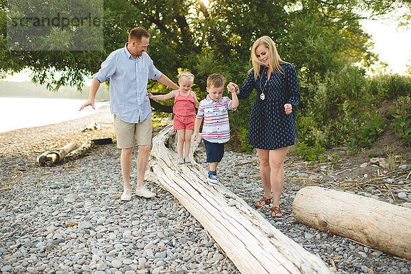 Mittlere erwachsene Eltern halten mit Jungen und Mädchen am Ontariosee  Oshawa  Kanada  am Baumstamm Händchen