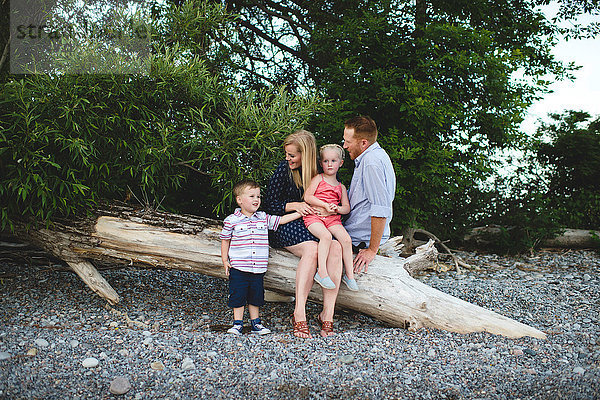 Mittlere erwachsene Eltern mit Junge und Mädchen entspannen sich auf einem Baumstamm am Ontariosee  Oshawa  Kanada