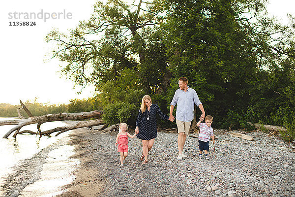 Mittlere erwachsene Eltern spazieren mit Jungen und Mädchen am Ontariosee  Oshawa  Kanada