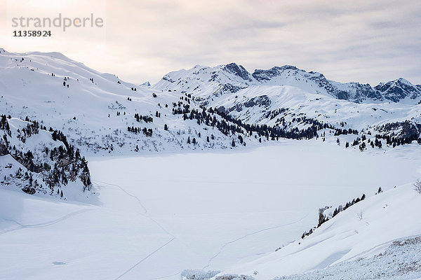 Schneebedecktes Bergtal  Engelberg  Titlis  Schweiz