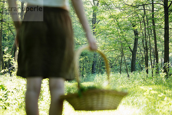 Rückansicht einer jungen Frau mit einem Korb mit gehäckselten Wildkräutern im Wald  Vogogna  Verbania  Piemont  Italien