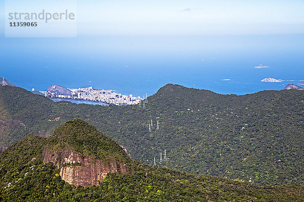 Tijuca-Wald  Atlantischer Wald  Rio de Janeiro  Brasilien