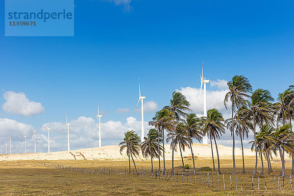 Windpark  Taiba  Ceará  Brasilien