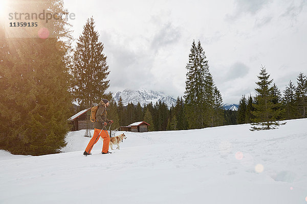 Mittelgroßer erwachsener Mann auf Schneeschuhen durch verschneite Landschaft  Hund neben ihm  Elmau  Bayern  Deutschland