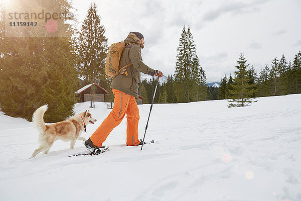 Mittelgroßer erwachsener Mann auf Schneeschuhen durch verschneite Landschaft  Hund neben ihm  Elmau  Bayern  Deutschland