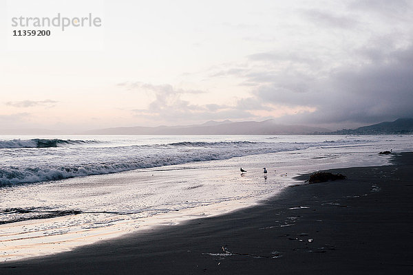 Strand und Meereslandschaft im Morgengrauen  Morro Bay  Kalifornien  USA