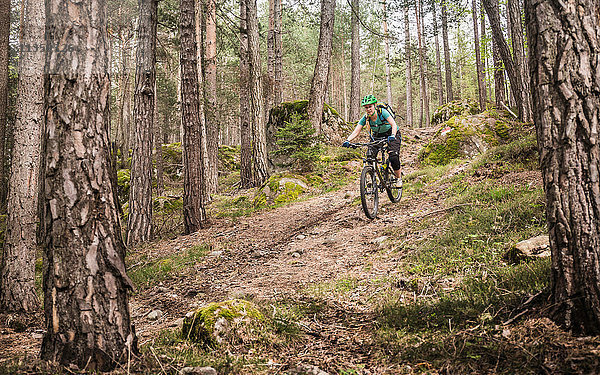 Mountainbike-Frau im Wald  Bozen  Südtirol  Italien