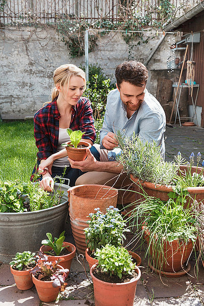 Ehepaar im Garten bei der Pflanzenpflege