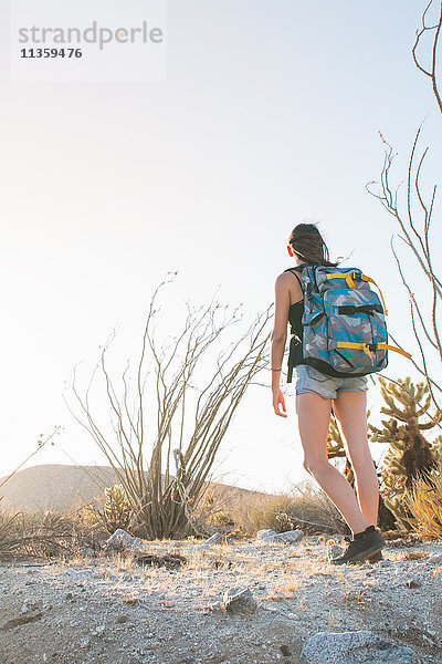 Rückansicht eines wegschauenden Wanderers  Anza Borrego  Kalifornien  USA