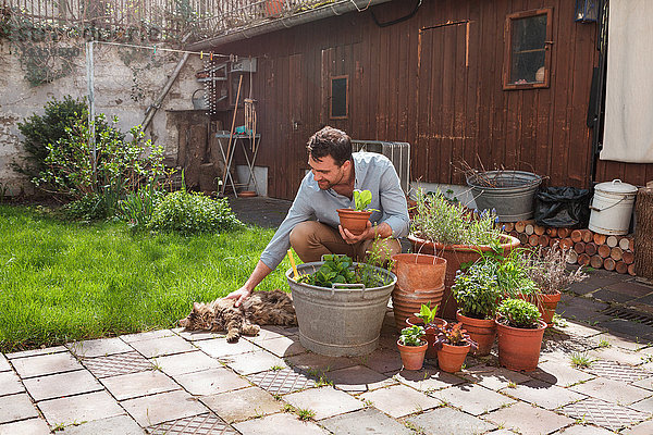 Mann im Garten bei der Pflanzenpflege