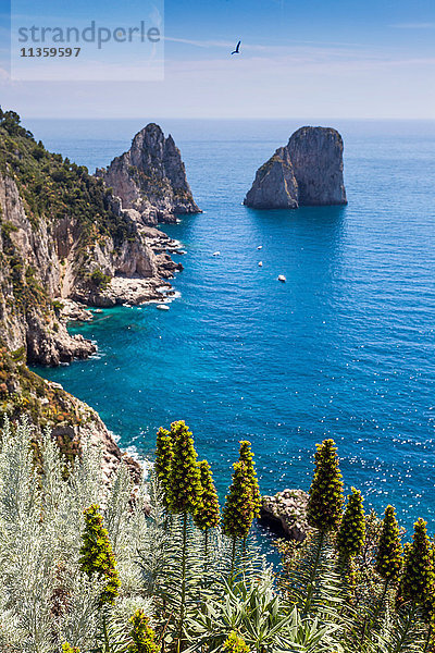 Klippen und Felsen im Meer  Capri  Amalfiküste  Italien