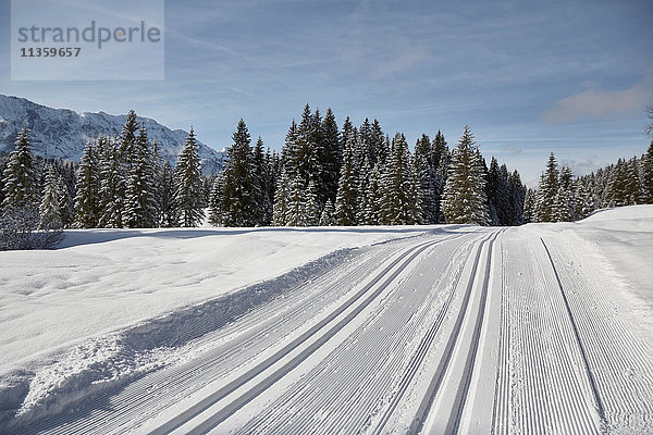 Reifenspuren und Tannenbäume in schneebedeckter Landschaft  Elmau  Bayern  Deutschland