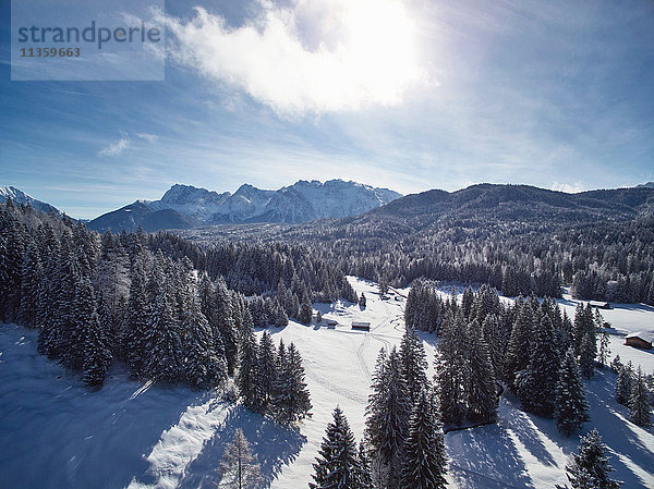 Tannenbäume in schneebedeckter Landschaft  Elmau  Bayern  Deutschland