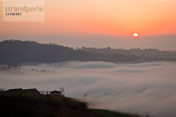 Talnebel bei Sonnenuntergang  Langhe  Piemont. Italien