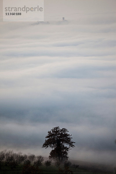 Silhouetten von Bäumen und Dächern  die aus niedrigen Wolken auftauchen  Langhe  Piemont. Italien