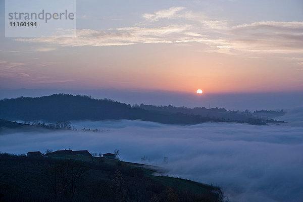 Talnebel bei Sonnenuntergang  Langhe  Piemont. Italien