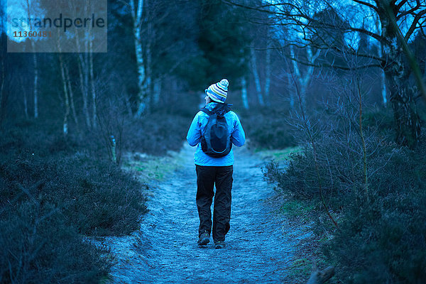 Rückansicht einer Wanderin  die in der Dämmerung im Wald wandert