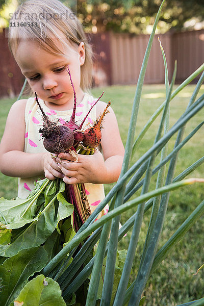 Junges Mädchen im Garten  hält frisches Gemüse