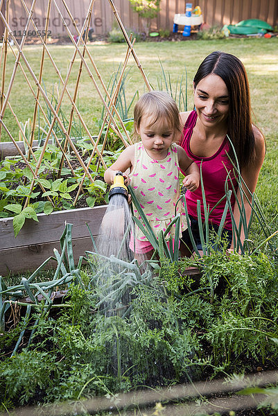 Mutter und Tochter im Garten  gießen die Pflanzen zusammen mit dem Schlauch