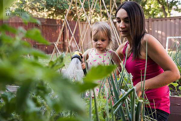 Mutter und Tochter im Garten  gießen die Pflanzen zusammen mit dem Schlauch