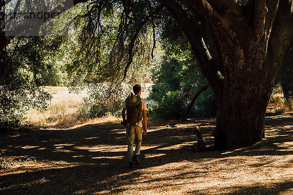 Wanderer im Schatten eines Baumes  Malibu Canyon  Kalifornien  USA
