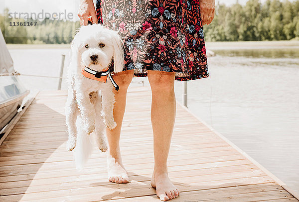 Frau trägt einen Hund mit Schwimmweste und Coton de Tulear am Seepier  Orivesi  Finnland