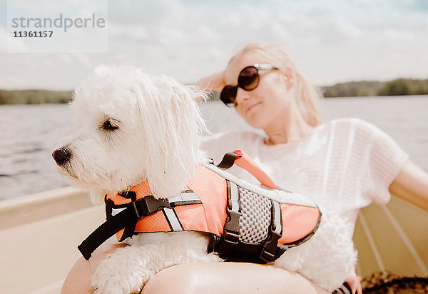 Coton de tulear Hund sitzt auf dem Schoss einer Frau im Boot  Orivesi  Finnland