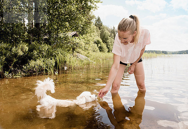 Frau mit Hund Coton de tulear im See  Orivesi  Finnland