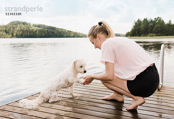 Frau hält coton de tulear Hundepfote nach dem Schwimmen  Orivesi  Finnland